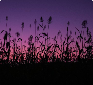 الثروة الحيوانية والنباتية